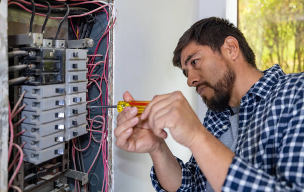 Best Electrical Upgrades for Homes  in Manistique, MI
